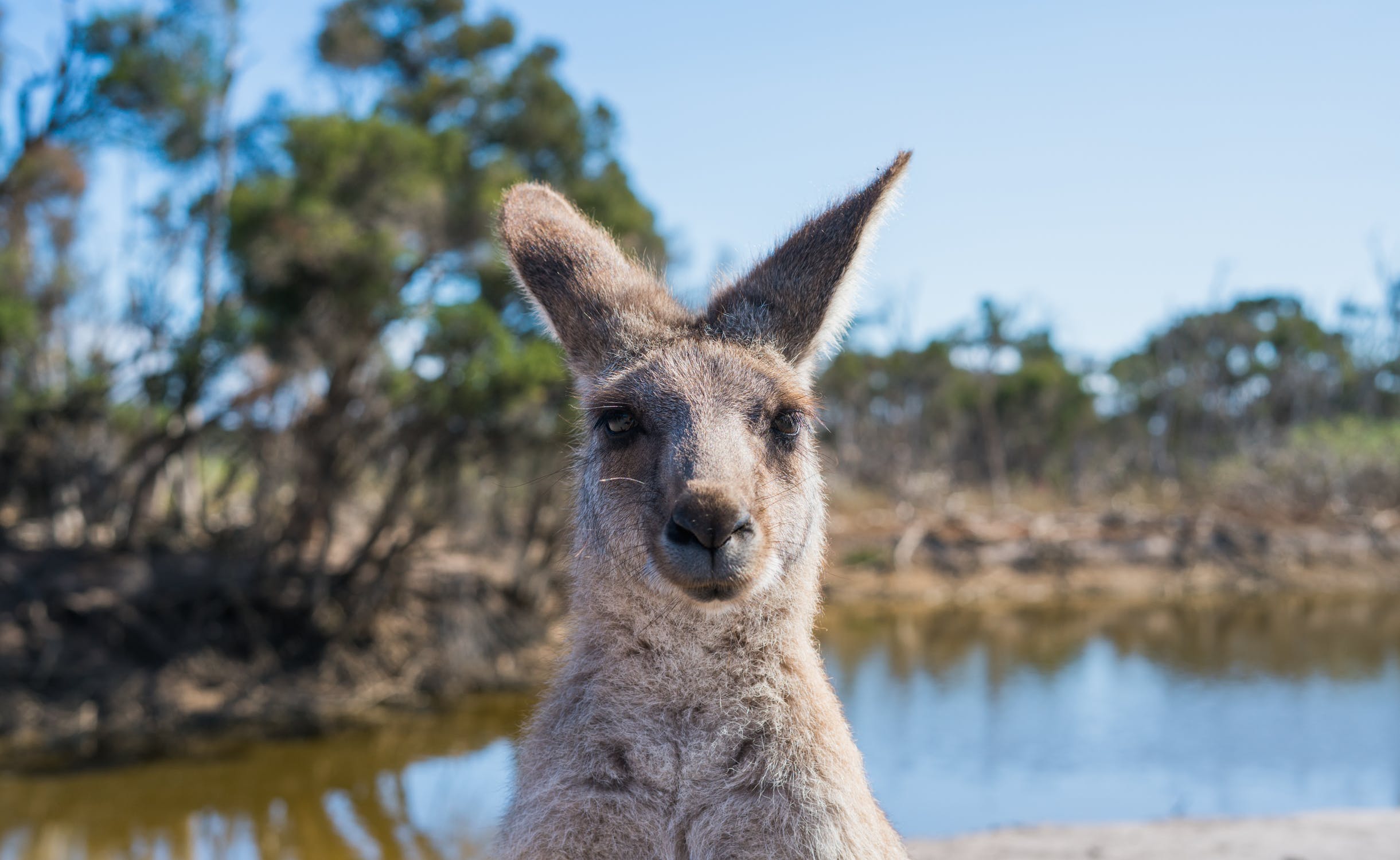 australia